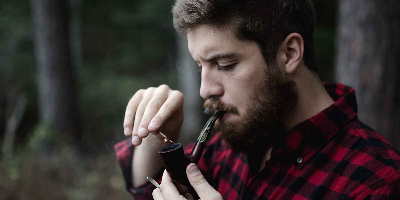 Kolejna witryna oparta na WordPressie